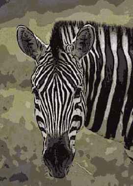 ������ Poster Edges